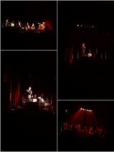 copyright by Dominik Grenzler