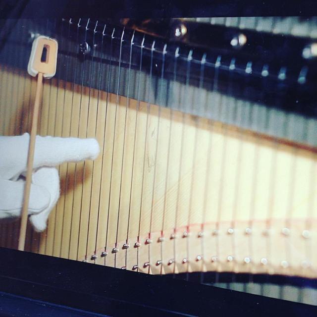 13585232_10210606283099644_8626473623611913571_o